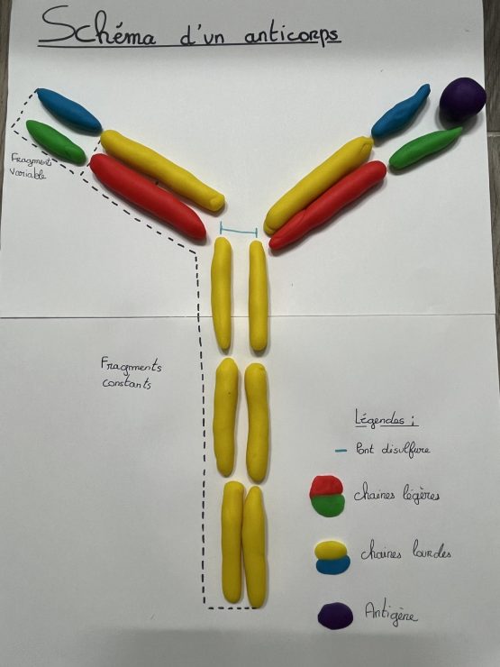 maquette1