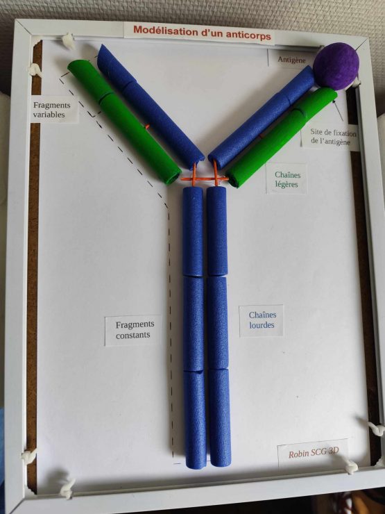 maquette3
