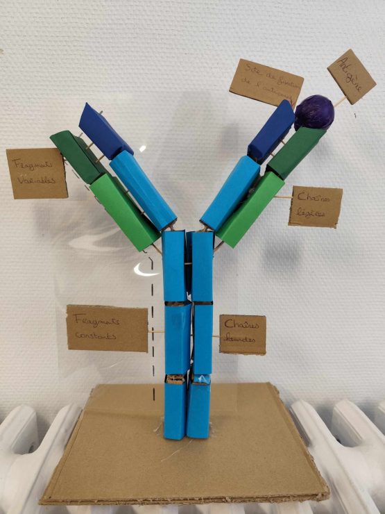 maquette4