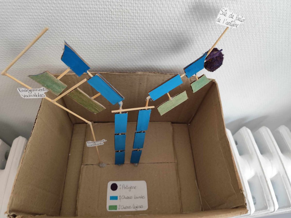 maquette5