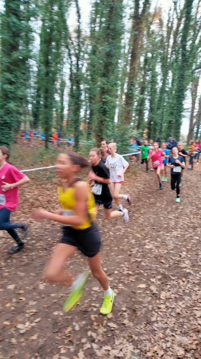 79f88586 0c60 413e a53e 03c0058c0e14