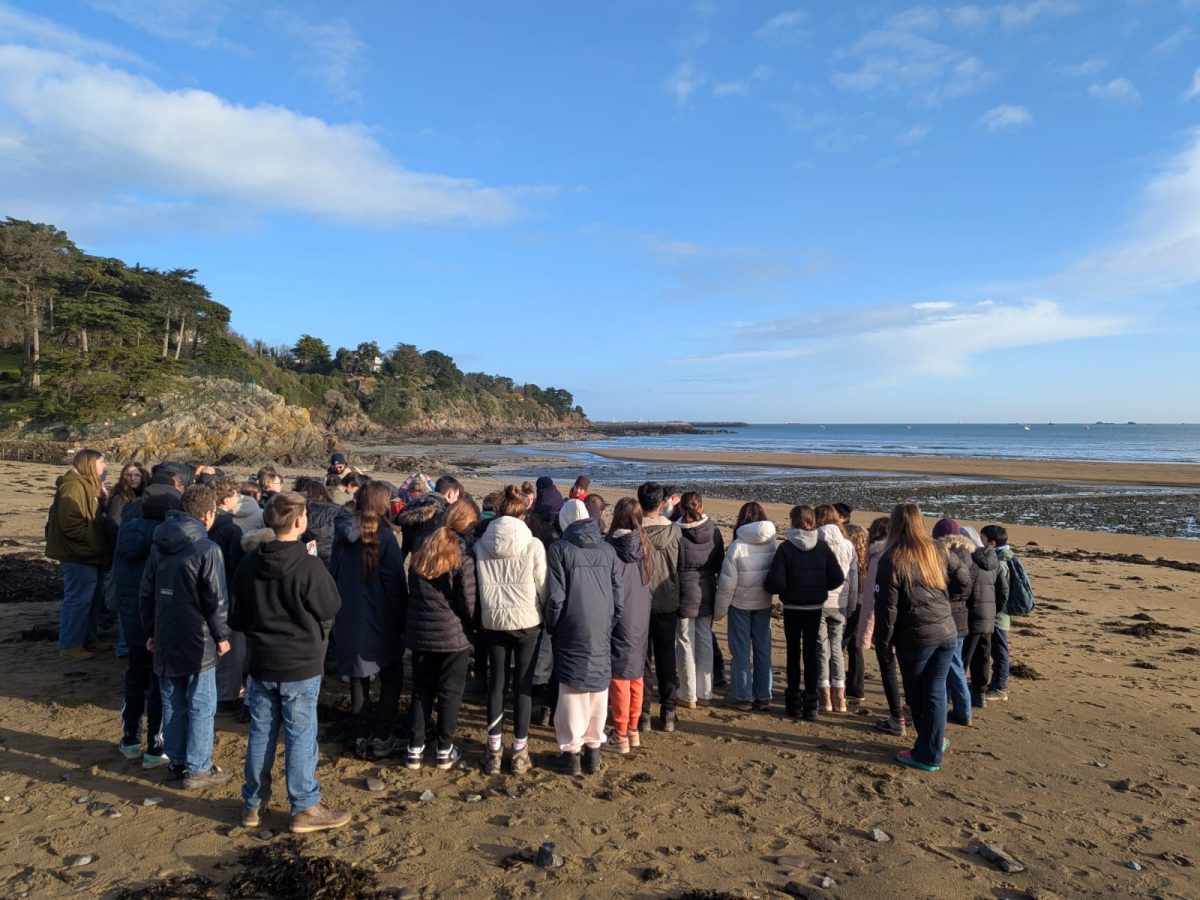 94cd5289 c316 4487 b877 1d9efa169918