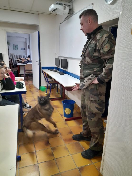 8077d923 e460 43d3 af8d 626280043787